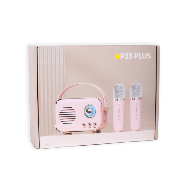 PARLANTE CON 2 MICROFONO RECARGABLE USB CAJA - Imagen 3